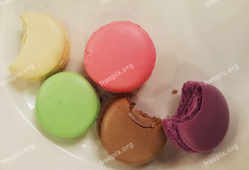 Food Dessert Snack Macaroon Sweet