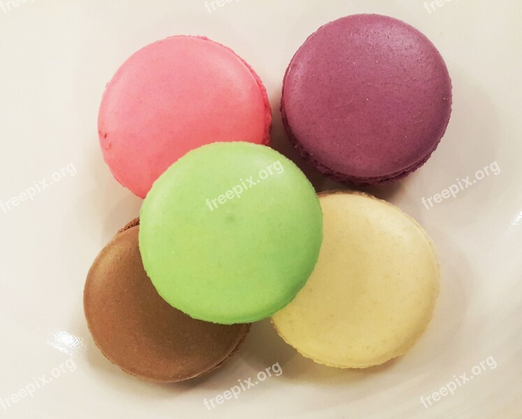 Food Dessert Snack Macaroon Sweet