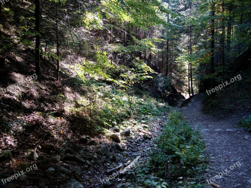 Pieniny Poland Mountains The Stones Hiking Trails