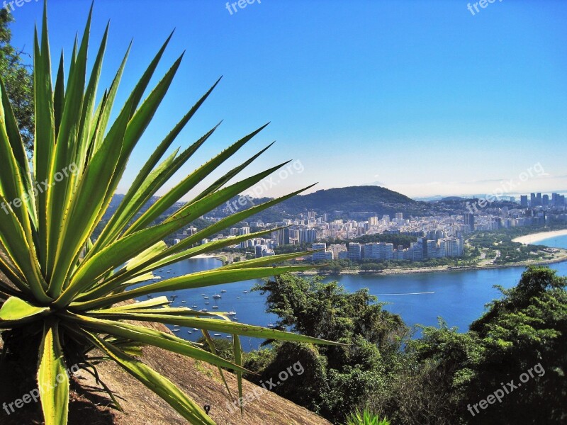 View From Sugarloaf Flamengo Beach Flamengo Park Bay Guanabara Bay