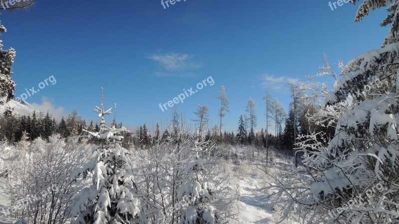 Slovakia High Tatras Pleso Landscape View