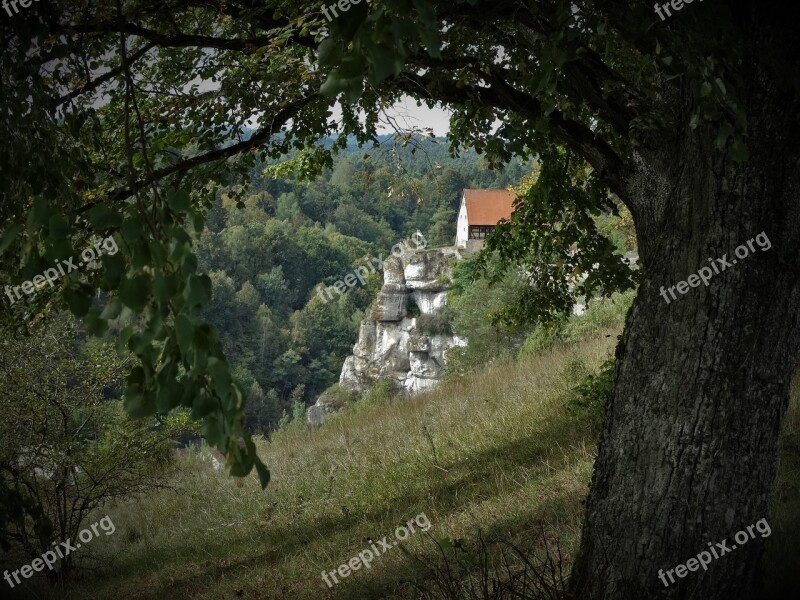 Castle Pottenstein Tree Ruin Old