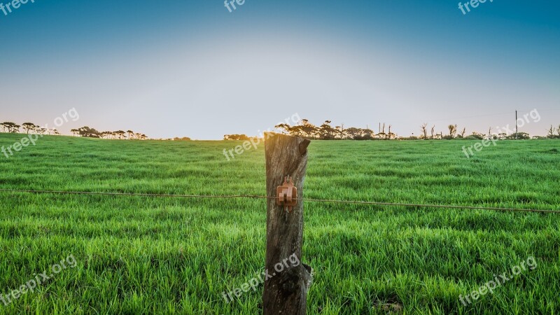 Farm Grass Field Skyline Spring