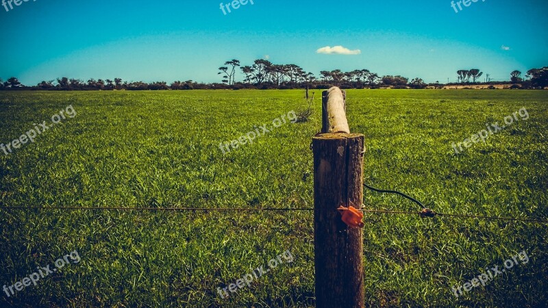 Farm Grass Field Skyline Spring