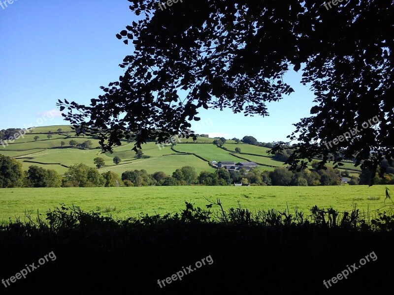 Devon Country Side Countryside Nature England