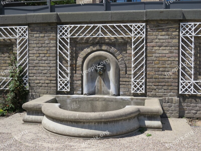 Fountain Cologne Architecture Lion Head Free Photos