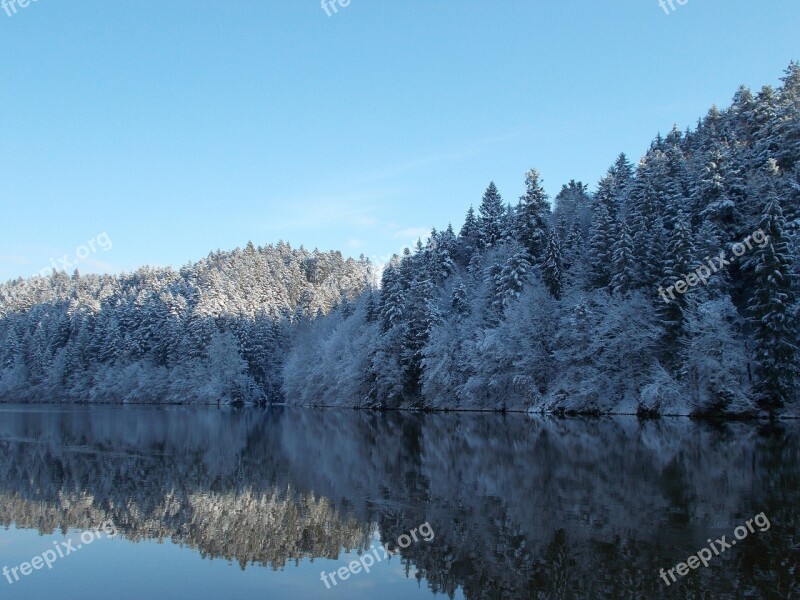 Ilz Lake Landscape Forest Nature