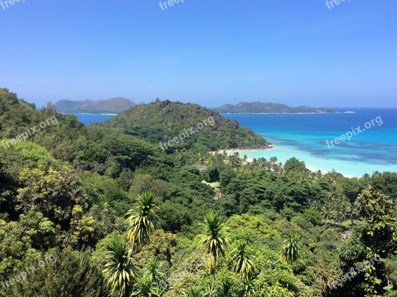 Seychelles Indian Ocean Palm Trees Rock Beach