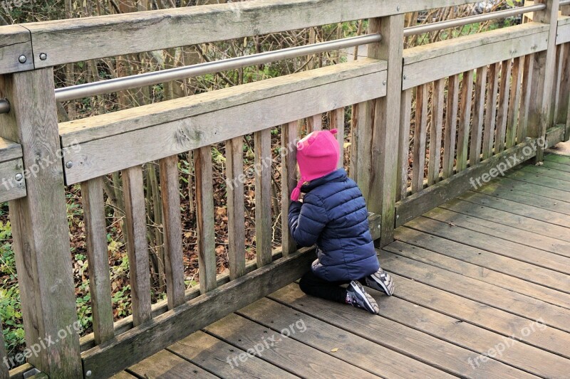 Curious Curiosity Child Bridge Discover