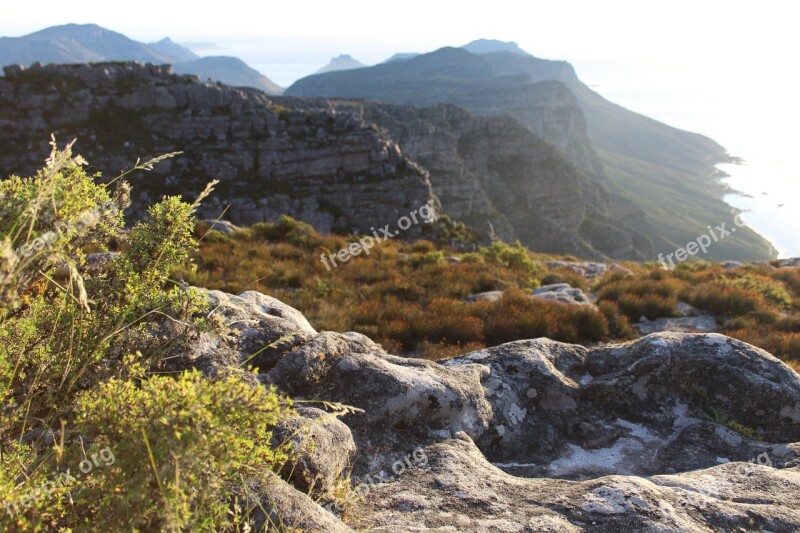 Fynbos Table Mountain Cape Town Peak Landscape