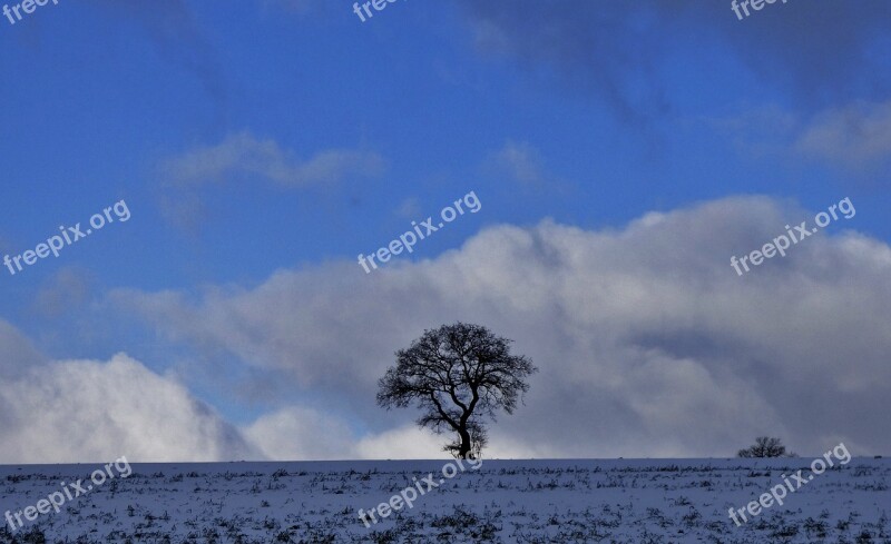 Tree Nature Winter Landscape Silhouette