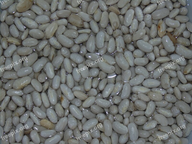 Beans Water White Free Photos