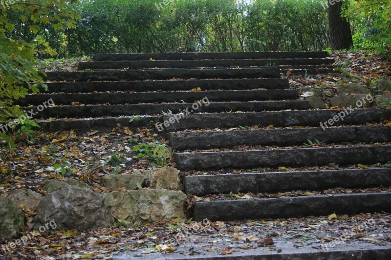 Stairs Leaves Autumn Gradually Free Photos