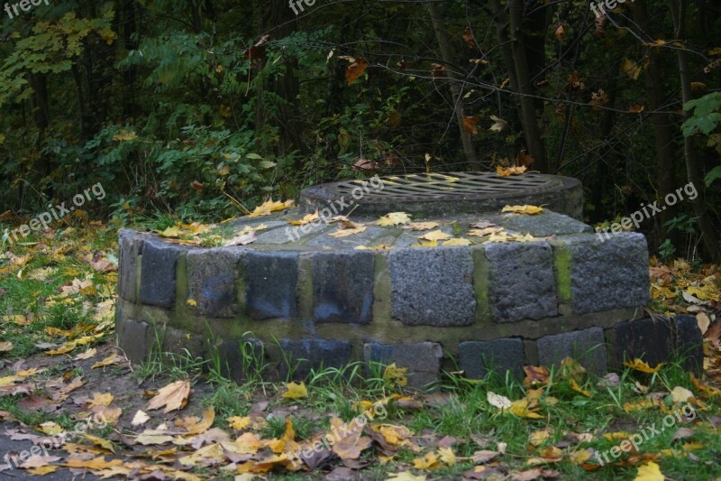 Leaves Fountain Autumn Shaft Free Photos