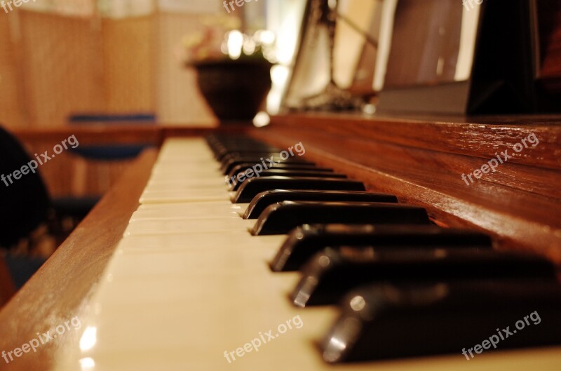 Piano Cafe Keyboard Organ Music