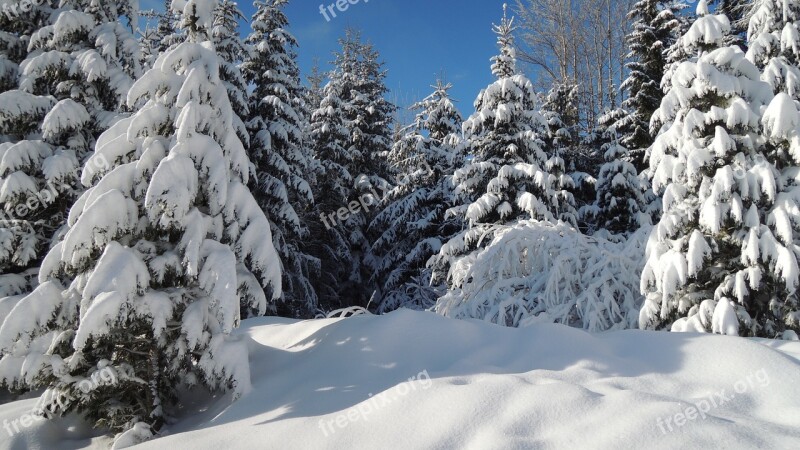 Slovakia High Tatras Pleso Winter Snow