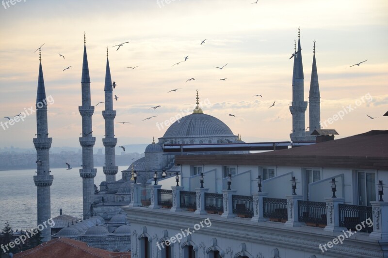 Istanbul Blue Mosque Turkey Sultanahmet Free Photos