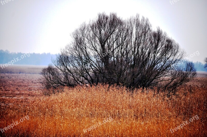 Kopacki Rit Nature Park Croatia Europe Wetland