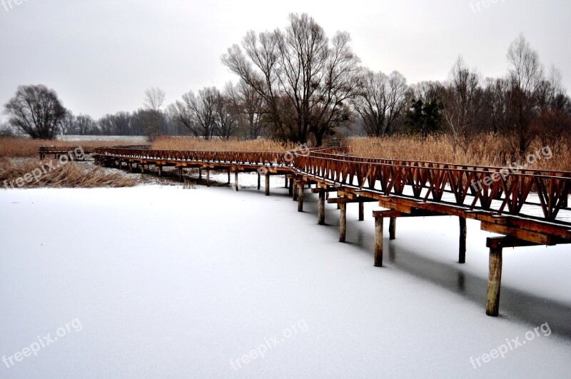 Kopacki Rit Nature Park Promenade Croatia Winter