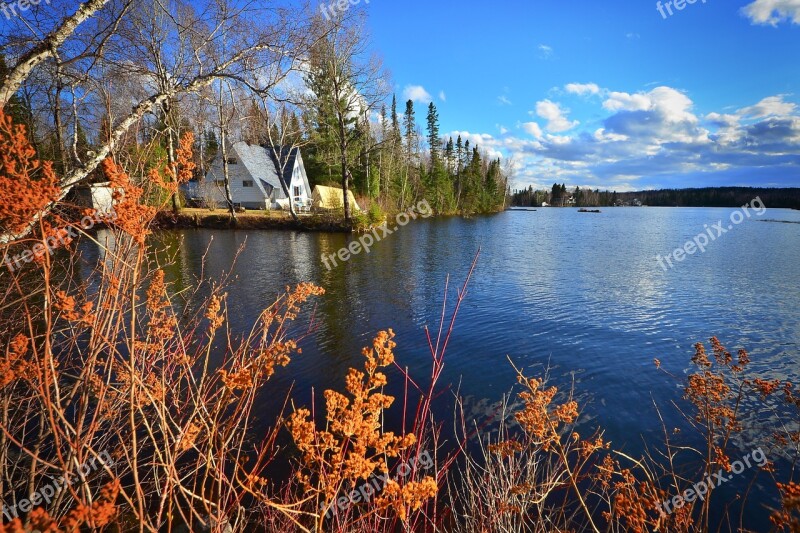 Landscape Nature Trees Lake Water