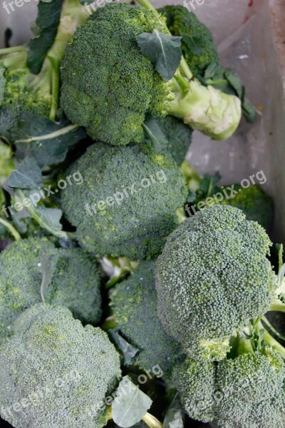 Broccoli Vegetables Nutrition Eat Food