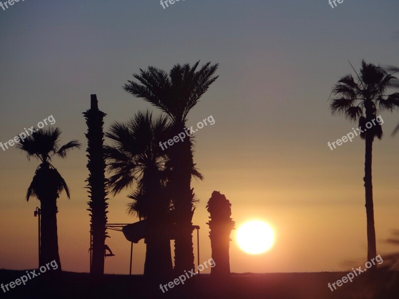 Sunset Beach Sea Palms Mexico