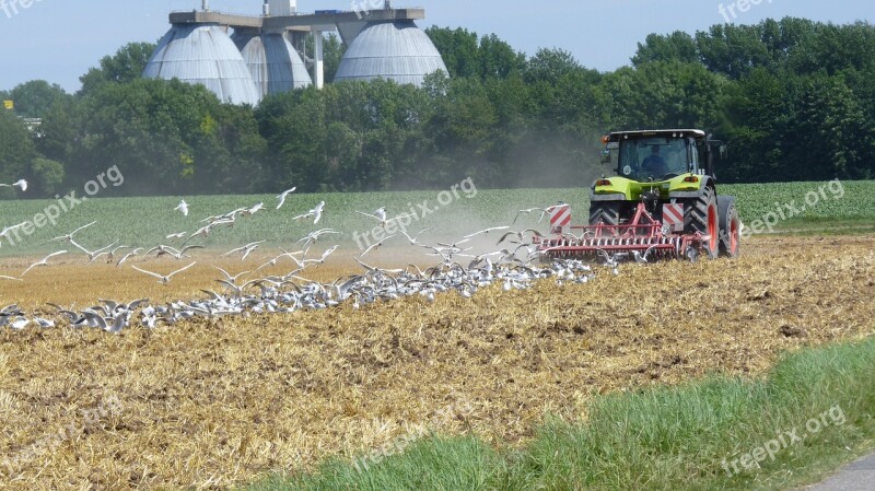 Agriculture Field Bauer Nature Harvested