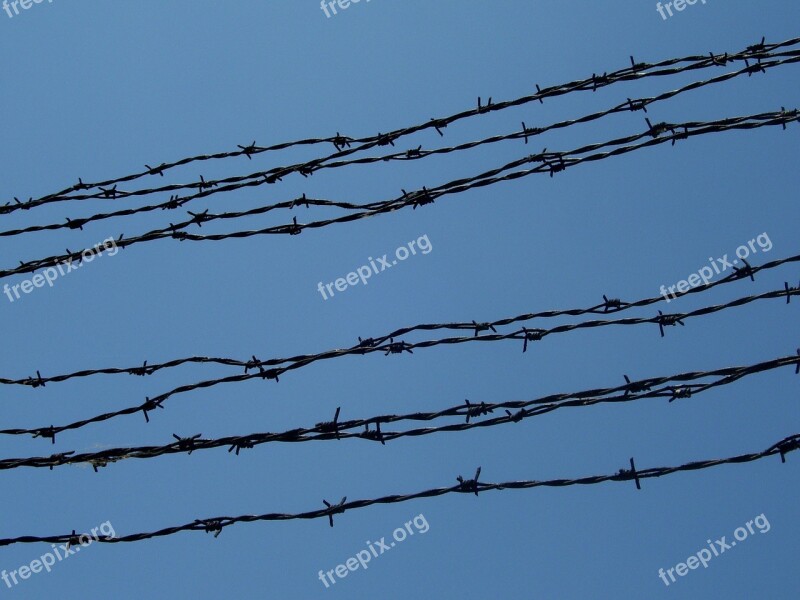 Barbed Wire Bondage Prison Freedom Sky