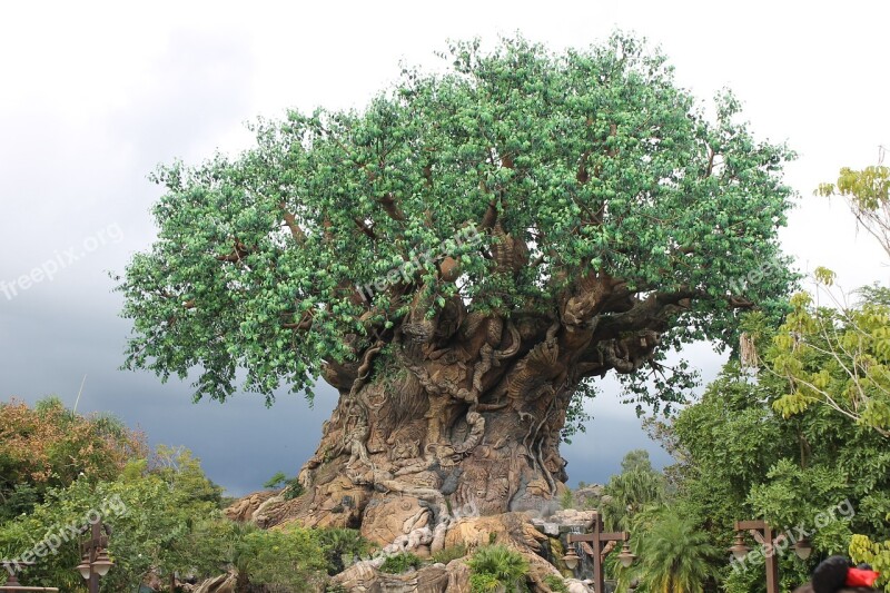 Disney Tree Of Life Animal Kingdom Tourism Attraction