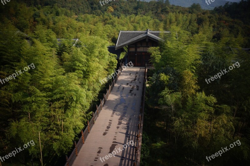 The Banquet Scene Ancient Architecture Tang Dynasty East The Scenery