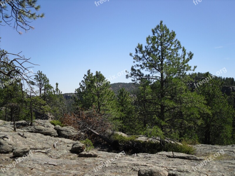 Backpacking Black Elk Wilderness Black Hills South Dakota Free Photos