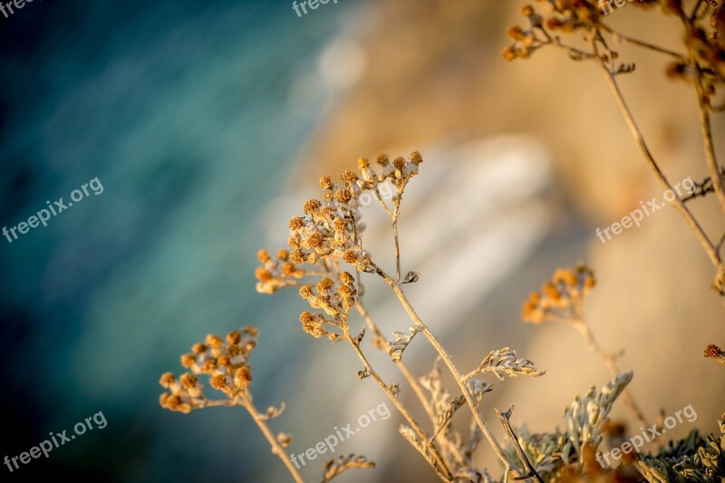 Nature Sea Mediterranean Landscape Water