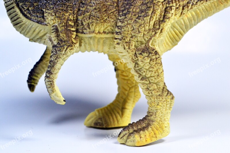 Dinosaur Tyrannosaurus Toy Legs Animal