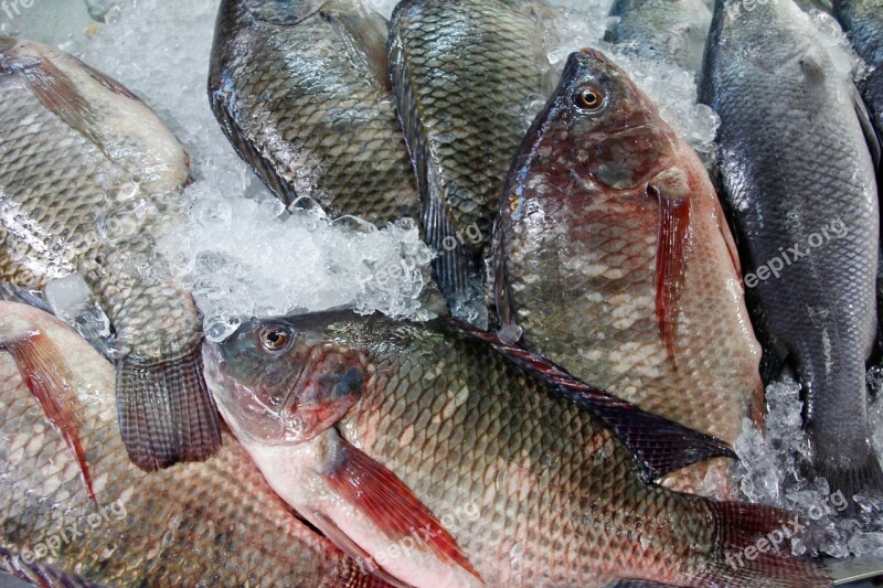 Fish Market Fish Market Red Food