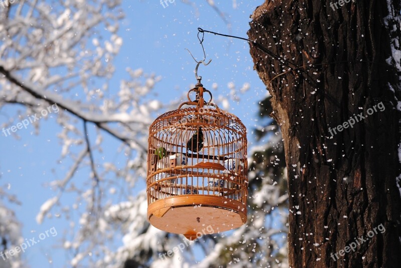 Snow Birds Slr Cage Outdoor