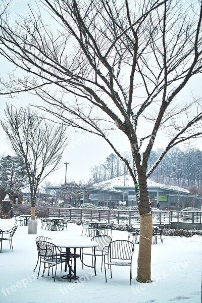 Rest Areas Winter Wood Snow Yearning