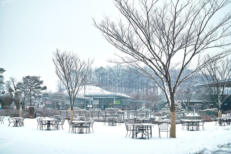 Rest Areas Winter Wood Snow Yearning