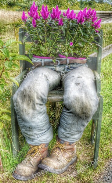 Flower Pot Jeans Free Photos