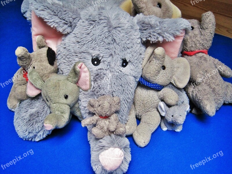 Stuffed Animals Favorite Animals Elephant Many Elephants Cuddly