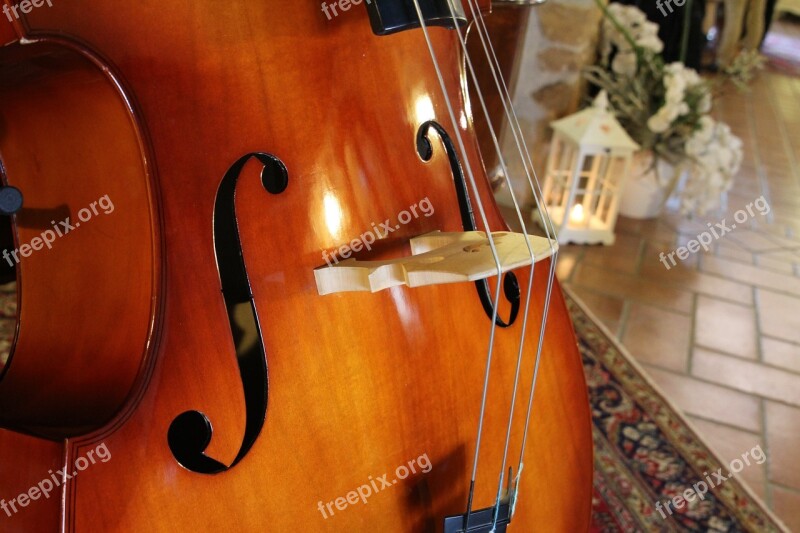 Double Bass Musical Instruments Archi Concert Music