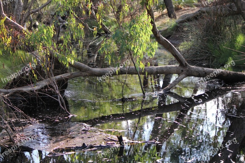 Australia Nature Nature Western Australia Landscape Park