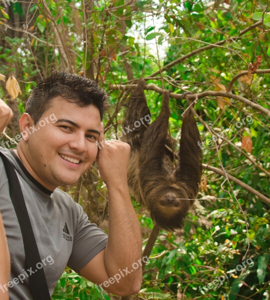 Nature Amazon Animals Brazil Tocantins