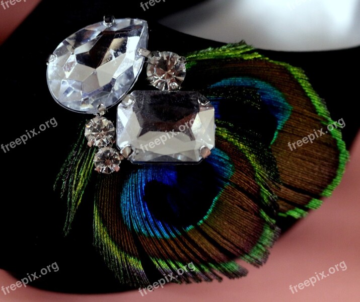 Feathers Peacock Crystals Baubles Bling