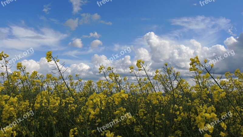 Heaven Sky Clouds Blue Sky Summer