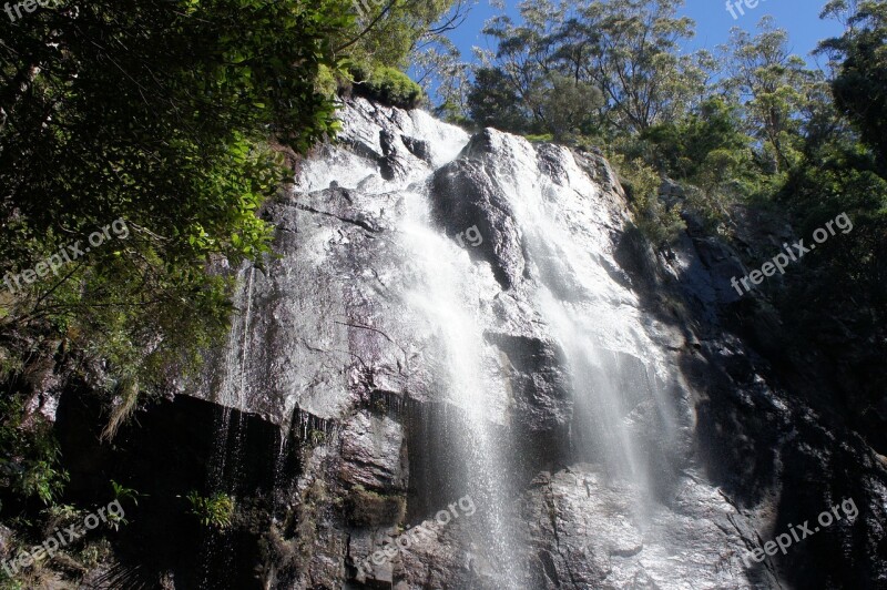 Another Waterfall Springbrook National Park Queensland Australia Free Photos