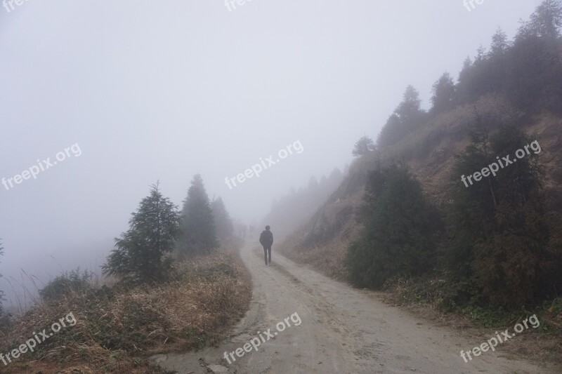 Fog Figure Lane Mountain Road Vertical Distribution