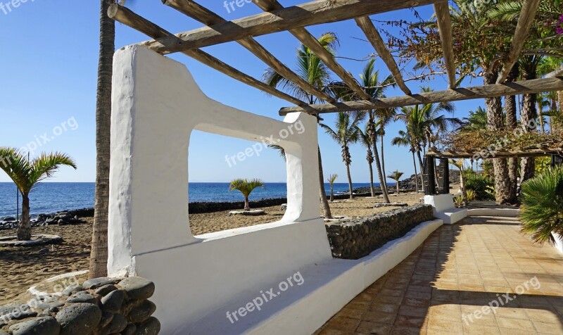 Palm Trees Away Wall Idyllic Romantic