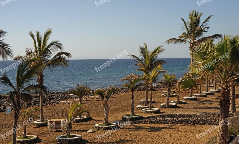 Beach Palm Trees Sea Sun Sun And Sea