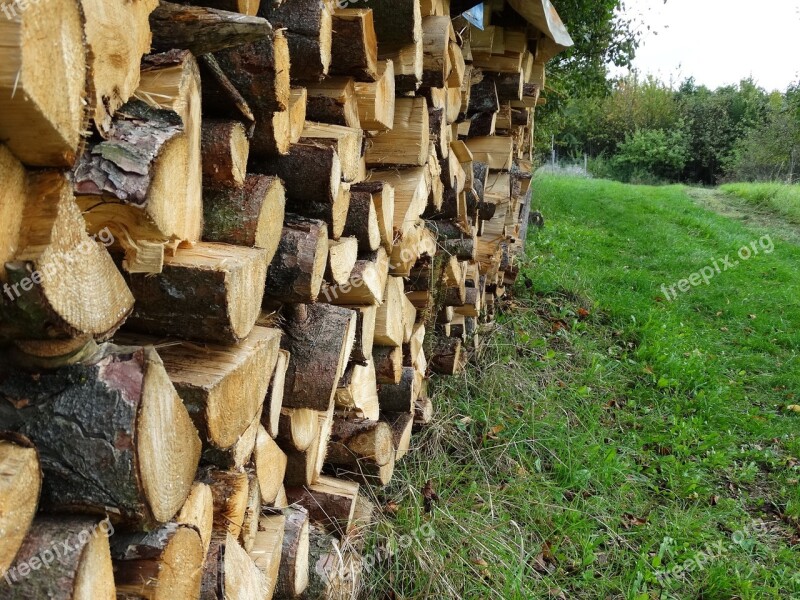 Halzstapel Tree Trunks Firewood Stack Free Photos