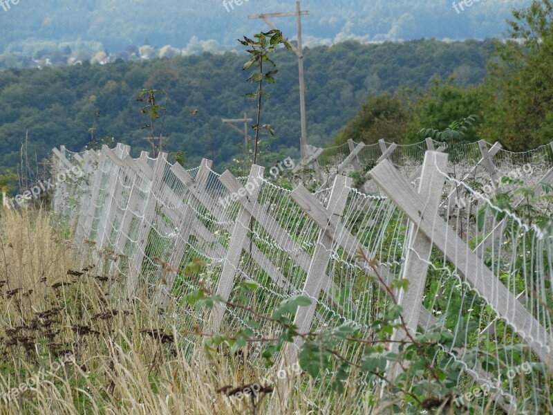 Fence Wildlife Protection Autumn Nature Wood Fence